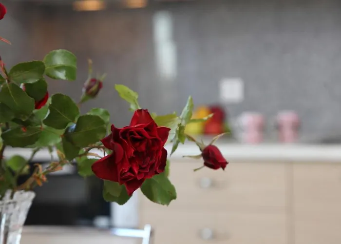 Blue View Tsoukaládhes